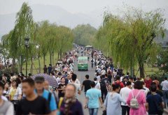 西湖客流量统计表