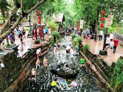 黄龙溪景区年人流量统计
