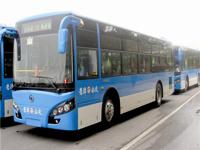 gjc14.jpg
